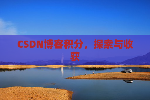 CSDN博客积分，探索与收获